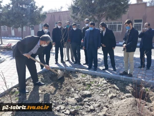 کاشت درخت به مناسبت هفته درختکاری در آموزشکده فنی و حرفه ای شماره 2 تبریز