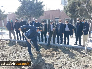 کاشت درخت به مناسبت هفته درختکاری در آموزشکده فنی و حرفه ای شماره 2 تبریز