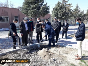 کاشت درخت به مناسبت هفته درختکاری در آموزشکده فنی و حرفه ای شماره 2 تبریز