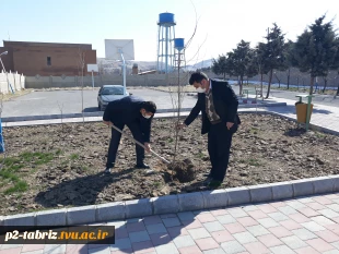 کاشت درخت به مناسبت هفته درختکاری در آموزشکده فنی و حرفه ای شماره 2 تبریز