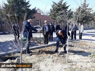 کاشت درخت به مناسبت هفته درختکاری در آموزشکده فنی و حرفه ای شماره 2 تبریز